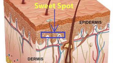 What is Sweet Spot in Feathering Brows?