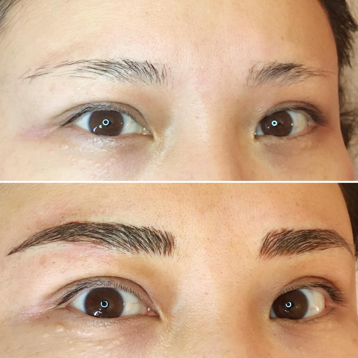 eyebrow tattoo before and after